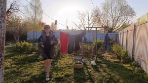 Проснуться в 4 утра, переделать миллион дел и не умереть