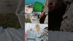 VID_20260507_135054