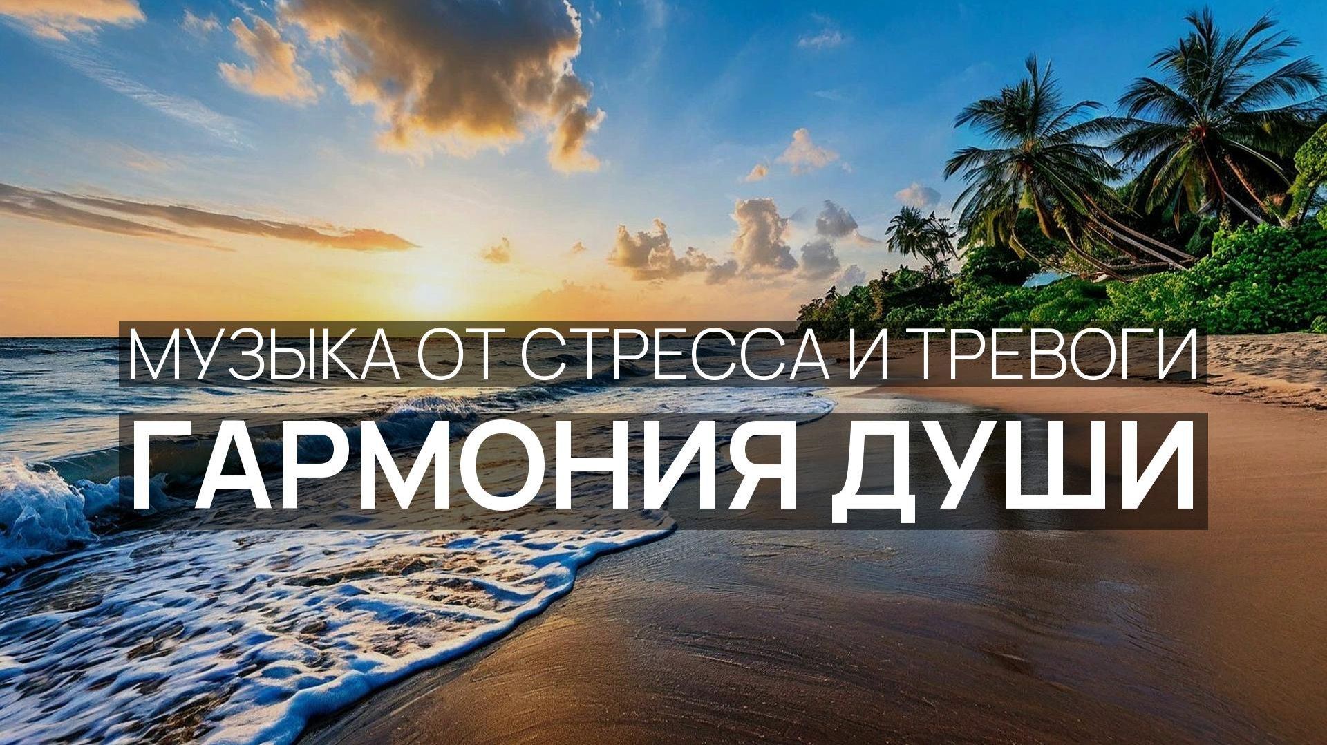 Гармония души 🌴 Шум приливов ✨ Пляжные пальмы 🕊️