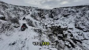 Бандиты бросили раненого волка в снег — Старый лесник вмешался и раскрыл правду