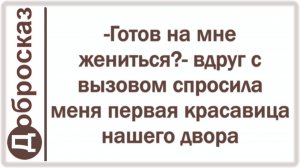-Готов на мне жениться?- вдруг с вызовом спросила меня первая красавица нашего двора