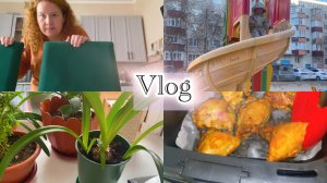 Vlog // Магнит // Мои цветочки // Бедра в АЭРОГРИЛЕ //