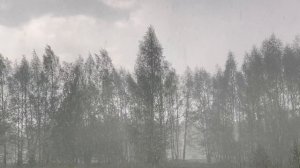 🌧️⛈️дождь⛈️🌧️