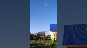 08.05.26 голуби такла 🇹🇷