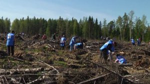 Сохраняют историю, отдают дань памяти героев и заботятся об экологии