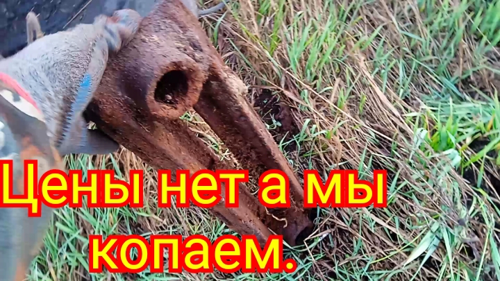 Металлокоп. Цены нет а мы копаем.