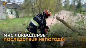 МЧС: четыре населенных пункта пострадали в Беларуси из-за непогоды