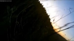 Бойцы ВС России сбивают FPV ВСУ