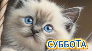 Доброе утро субботы: открытки и пожелания для хороших выходных | Домохозяйка