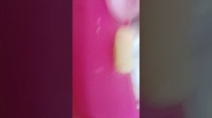 1000004817.mp4