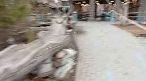 Кафе « У Фонтана» в Новосибирском зоопарке