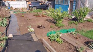 ВЛОГ:неПростой день! Частичка природы.