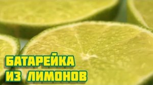 Батарейка из лимонов
