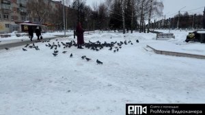 ОБЛЕТЕЛА всё как птица ФЕНИКС🐦_🔥🥰💃🇷🇺