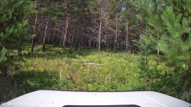 Нива в непролазной тайги в диких условиях