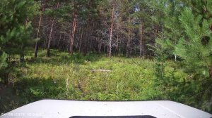 Нива в непролазной тайги в диких условиях