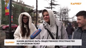 Каким должно быть общественное пространство на Гороховом поле?