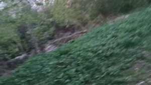 Закаты мая