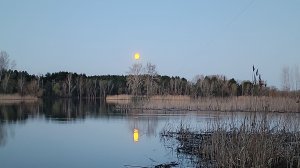 Рыбалка 4 мая 2026 года — удалось поймать плотву весом 0,5 кг.