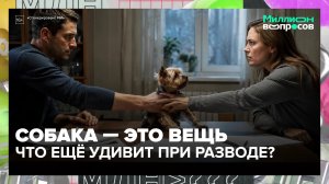 Как делятся животные при разводе? | Миллион вопросов — Москва 24