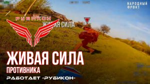 Живая сила противника. «Рубикон» продолжает сокращать численность пехоты ВСУ в зоне СВО