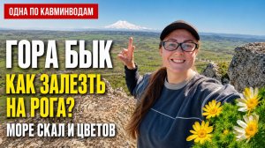 ГОРА БЫК | ХОТЕЛОСЬ ЗАЛЕЗТЬ НА РОГА | ОДНА ПО КАВМИНВОДАМ | ЦВЕТЫ И СКАЛЫ