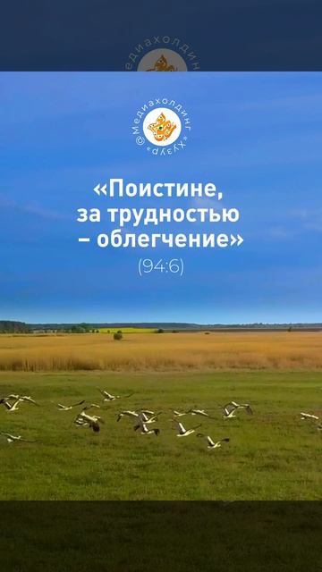 Не падать духом, не сдаваться