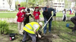 81 яблоня в честь 81 годовщины великой Победы