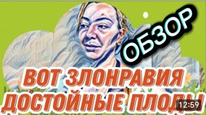 САМВЕЛ АДАМЯН, «ЛЕСНОЕ ЭХО», РОДИТЕЛИ ЖИВУТ СВОЮ ЛУЧШУЮ ЖИЗНЬ И ОТ ЭТОГО БОЛИТ ГОЛОВА..