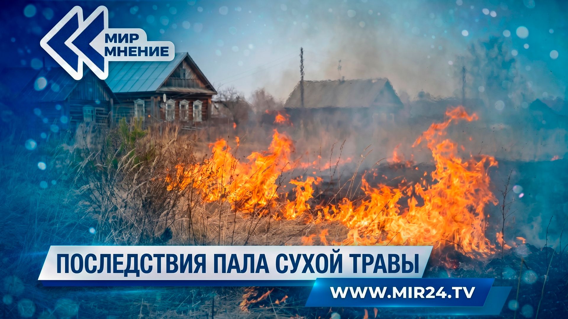 Как выжигание сухой растительности влияет на экологию?