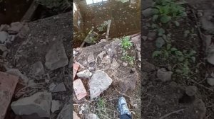 Заброшенный сельхоз в таёжном 1 часть
