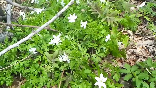 2502.mp4 смотреть онлайн