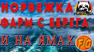 ФАРМ С БЕРЕГА и НА ЯМАХ НОРВЕЖСКОЕ МОРЕ. Русская рыбалка 4. рр4. #russianfishing4fungames