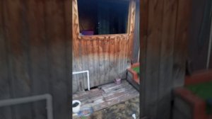 1000008446.mp4