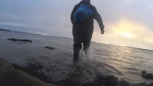 ПОШЁЛ НА КОРЮШКОВЫЕ СЕТКИ С РАСВЕТА ПОКАМИСЬ ВОДА СУХАЯ!ПОВСТРЕЧАЛ ХОЗЯИНА МОРЯ!