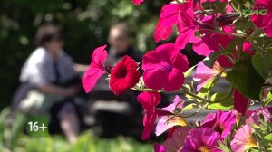 «Подготовка Самары к летнему сезону» / «Специальный репортаж» от 07.05.2026