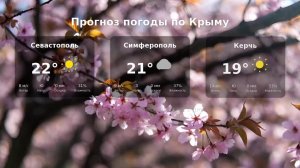 LIVE: Сервис «ПростоДок»