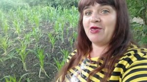 В этой жизни всё не так просто.mp4