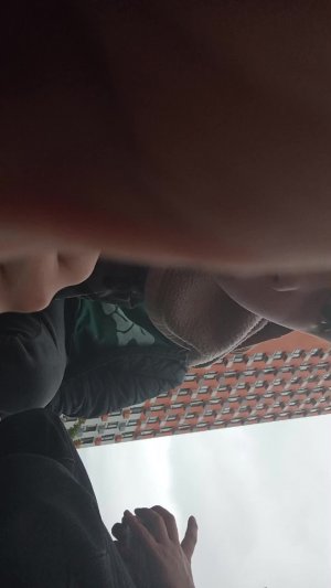 каррты