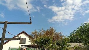 Работа и заботы не кончаются. Помощница приехала!