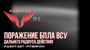 Поражение БпЛА ВСУ дальнего радиуса действия
