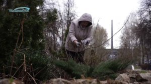 Субботник в Парке Победы