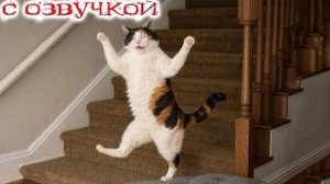 Смешные_коты_с_озвучкой_2026___Попробуй_не_засмеяться__невозможно__-_YouTube
