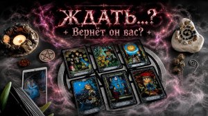 Он Уже Думает о Возвращении — 4 Короля Таро