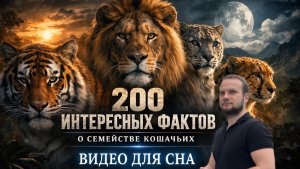 200 интересных фактов о кошках, которых ты не знал. Видео для сна