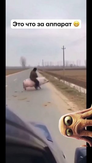 Зато не в кредит😂