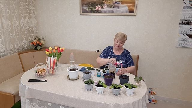 1000003223.mp4