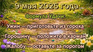 Народные приметы на 9 мая 2026 года