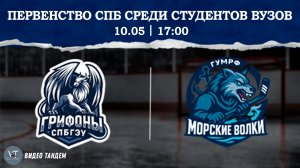 Грифоны СПБГЭУ - Морские Волки / 10.05.2026