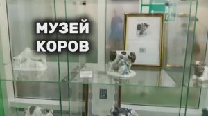 Музей коров. Молоко. Легенды. Дети.